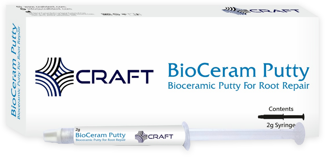 Craft Bioceram Putty